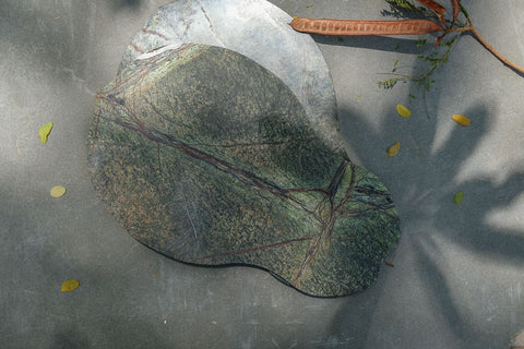 Fig Leaf Shaped Rainforest Marble Serving Platter